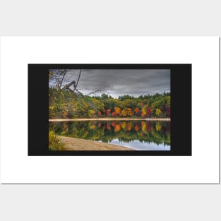 Walden Pond Fall Foliage Concord MA Posters and Art